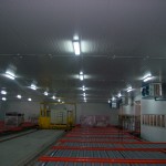 TM Cold Room